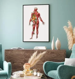 Muskulatur, Rückansicht - Floral - Weiß | Codex Anatomicus Outlet