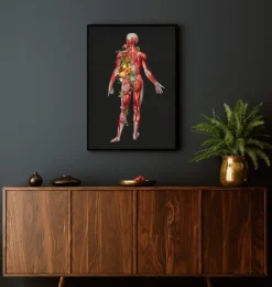 Muskulatur, Rückansicht - Floral - Schwarz | Codex Anatomicus Hot