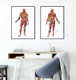 Muskulatur, Rückansicht - Floral - Weiß | Codex Anatomicus Outlet