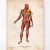 Muskulatur, Vorderansicht - Floral - Vintage | Codex Anatomicus Clearance