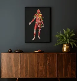 Muskulatur, Vorderansicht - Floral - Schwarz | Codex Anatomicus Online