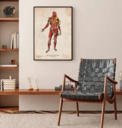 Muskulatur, Vorderansicht - Floral - Vintage | Codex Anatomicus Clearance
