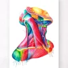 Nackenmuskulatur Anatomie - Aquarell | Codex Anatomicus Online