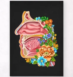 Nasenhöhle Anatomie - Floral - Schwarz | Codex Anatomicus Discount