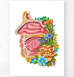 Nasenhöhle Anatomie - Floral - Weiß | Codex Anatomicus Fashion