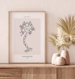 Neuronen Anatomie - Line-Art | Codex Anatomicus Discount