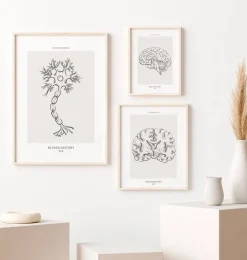 Neuronen Anatomie - Line-Art | Codex Anatomicus Discount