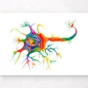 Neuronen Struktur - Aquarell | Codex Anatomicus Discount