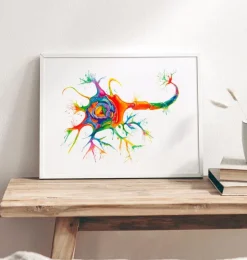 Neuronen Struktur - Aquarell | Codex Anatomicus Discount