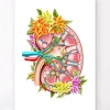 Niere Anatomie II - Floral - Weiß | Codex Anatomicus Discount