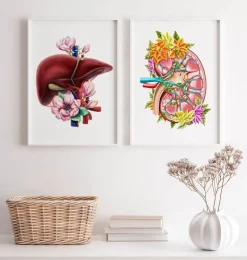 Niere Anatomie II - Floral - Weiß | Codex Anatomicus Discount