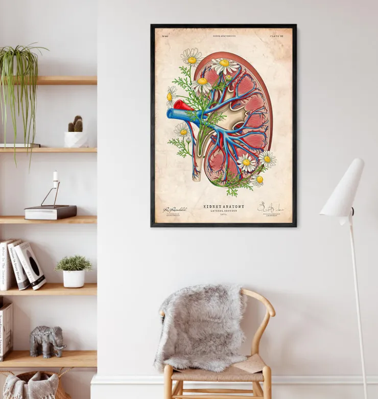 Niere mit Blumen - Altes Papier | Codex Anatomicus Outlet