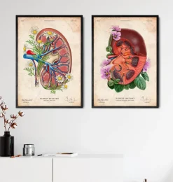 Niere mit Blumen - Altes Papier | Codex Anatomicus Outlet