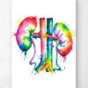 Nieren Anatomie Kunst- Aquarell | Codex Anatomicus Fashion