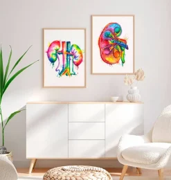 Nieren Anatomie Kunst- Aquarell | Codex Anatomicus Fashion