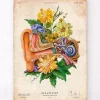 Ohr Anatomie - Floral - Altes Papier | Codex Anatomicus Best