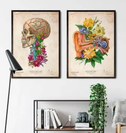 Ohr Anatomie - Floral - Altes Papier | Codex Anatomicus Best