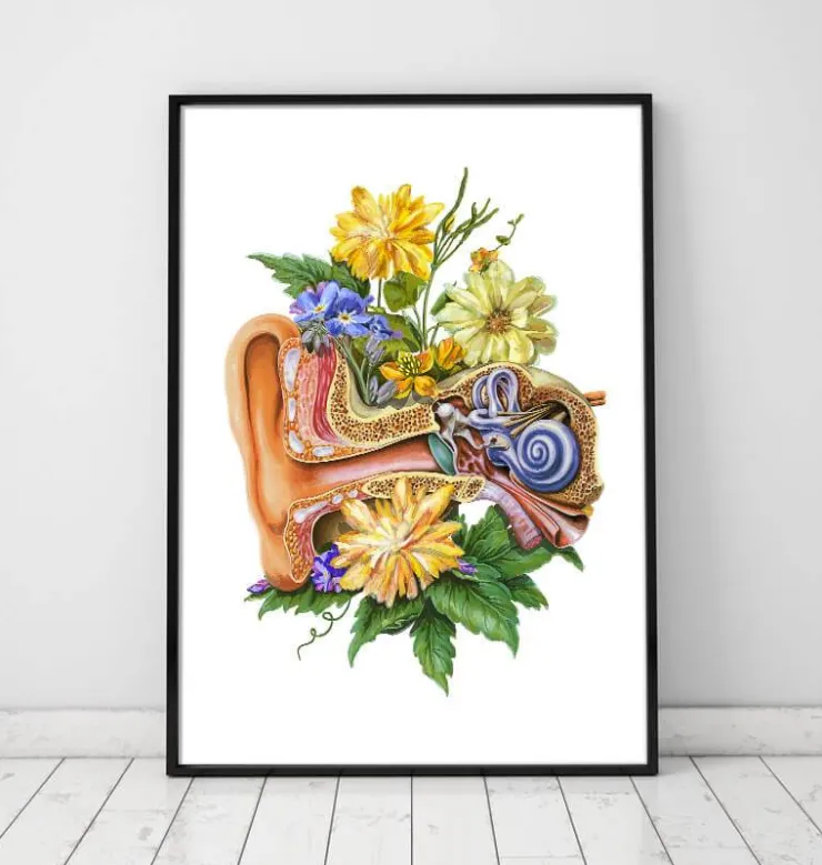 Ohr Anatomie - Floral - Weiß | Codex Anatomicus Hot