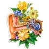 Ohr Anatomie Aufkleber - Floral | Codex Anatomicus Fashion