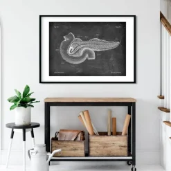 Pankreas Anatomie - Chalkboard | Codex Anatomicus Sale