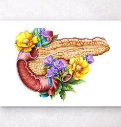 Pankreas Anatomie - Floral - Weiß | Codex Anatomicus Discount