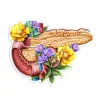 Pankreas Anatomie Aufkleber - Floral | Codex Anatomicus Discount