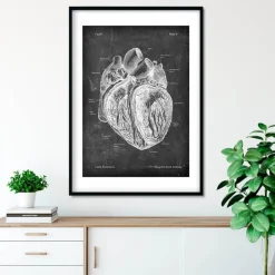 Präparierte Herz Anatomie - Chalkboard | Codex Anatomicus Discount