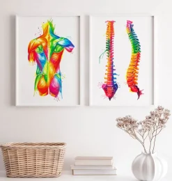 Rücken Anatomie - Aquarell | Codex Anatomicus Clearance