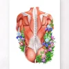 Rücken Anatomie I - Floral - Weiß | Codex Anatomicus Discount