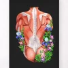 Rücken Anatomie I - Floral- Schwarz | Codex Anatomicus Discount