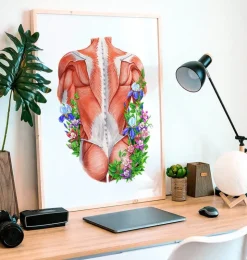 Rücken Anatomie I - Floral - Weiß | Codex Anatomicus Discount