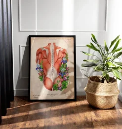 Rücken Anatomie I - Floral - Vintage | Codex Anatomicus Outlet