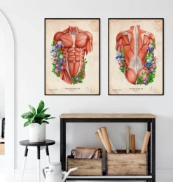 Rücken Anatomie I - Floral - Vintage | Codex Anatomicus Outlet