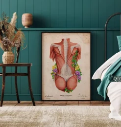 Rücken Anatomie II - Floral - Vintage | Codex Anatomicus Best