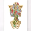Rückenskelett Anatomie - Floral - Weiß | Codex Anatomicus Outlet