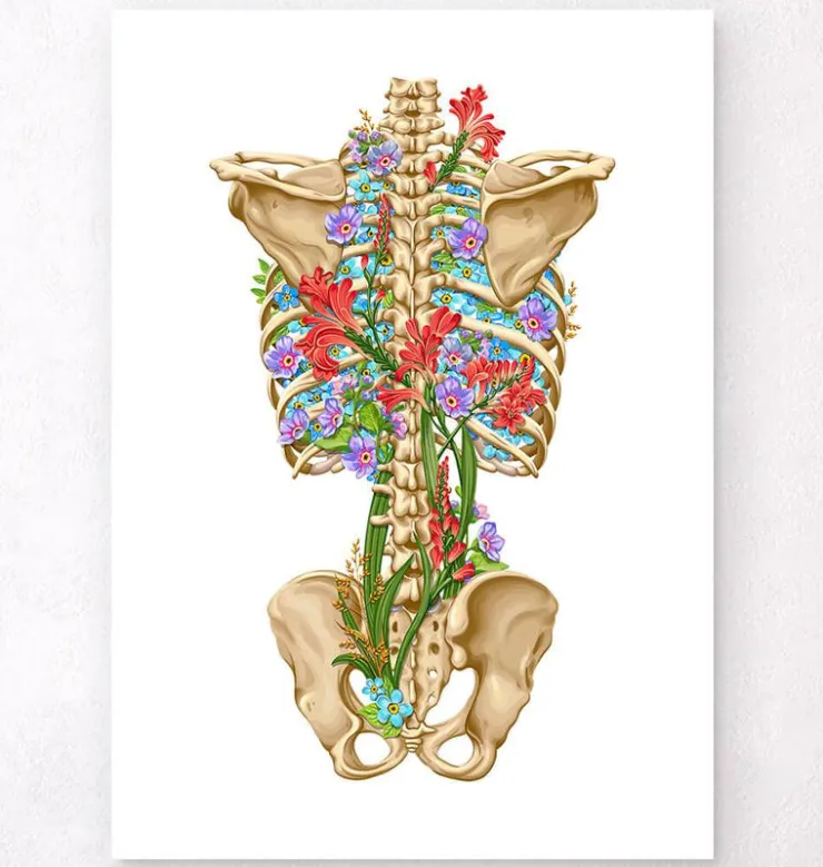 Rückenskelett Anatomie - Floral - Weiß | Codex Anatomicus Outlet