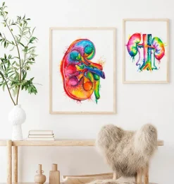 Rechten Niere Anatomie - Aquarell | Codex Anatomicus Fashion