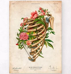 Rippenbruch - Floral - Vintage | Codex Anatomicus Best