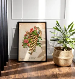 Rippenbruch - Floral - Vintage | Codex Anatomicus Best