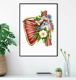 Rotatorenmanschettenruptur - Floral - Weiß | Codex Anatomicus Sale