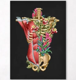Rumpfmuskulatur und Knochen - Floral - Schwarz | Codex Anatomicus Hot