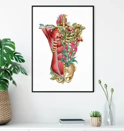 Rumpfmuskulatur und Knochen - Floral - Weiß | Codex Anatomicus New
