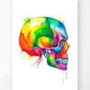 Schädel - Aquarell | Codex Anatomicus Outlet