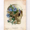 Schädel Anatomie - Floral - Altes Papier | Codex Anatomicus Discount