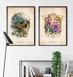 Schädel Anatomie - Floral - Altes Papier | Codex Anatomicus Discount