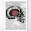 Schädel Anatomie - Wörterbuch | Codex Anatomicus Fashion