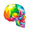 Schädel Anatomie Aufkleber I - Aquarell | Codex Anatomicus Outlet