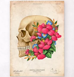 Schädel Anatomie III - Floral - Vintage | Codex Anatomicus Hot