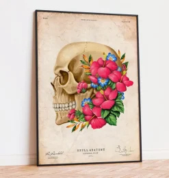 Schädel Anatomie III - Floral - Vintage | Codex Anatomicus Hot