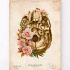 Schädel Anatomie V - Floral - Vintage | Codex Anatomicus Fashion